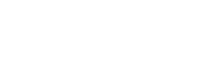 BEgleiter